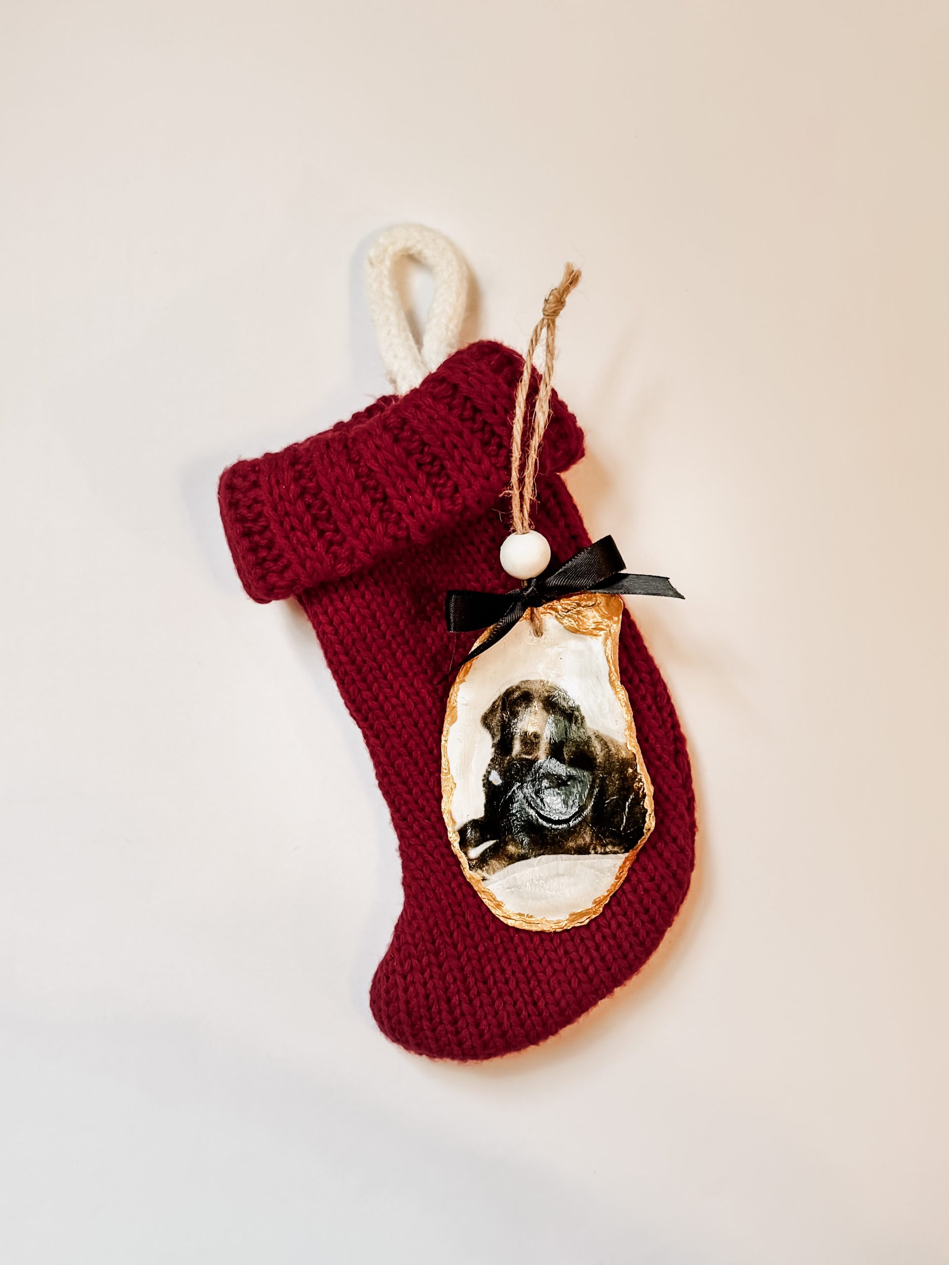 Custom oyster shell photo ornament of a dark brown senior dog with gold edges and a black bow on a red knit stocking.