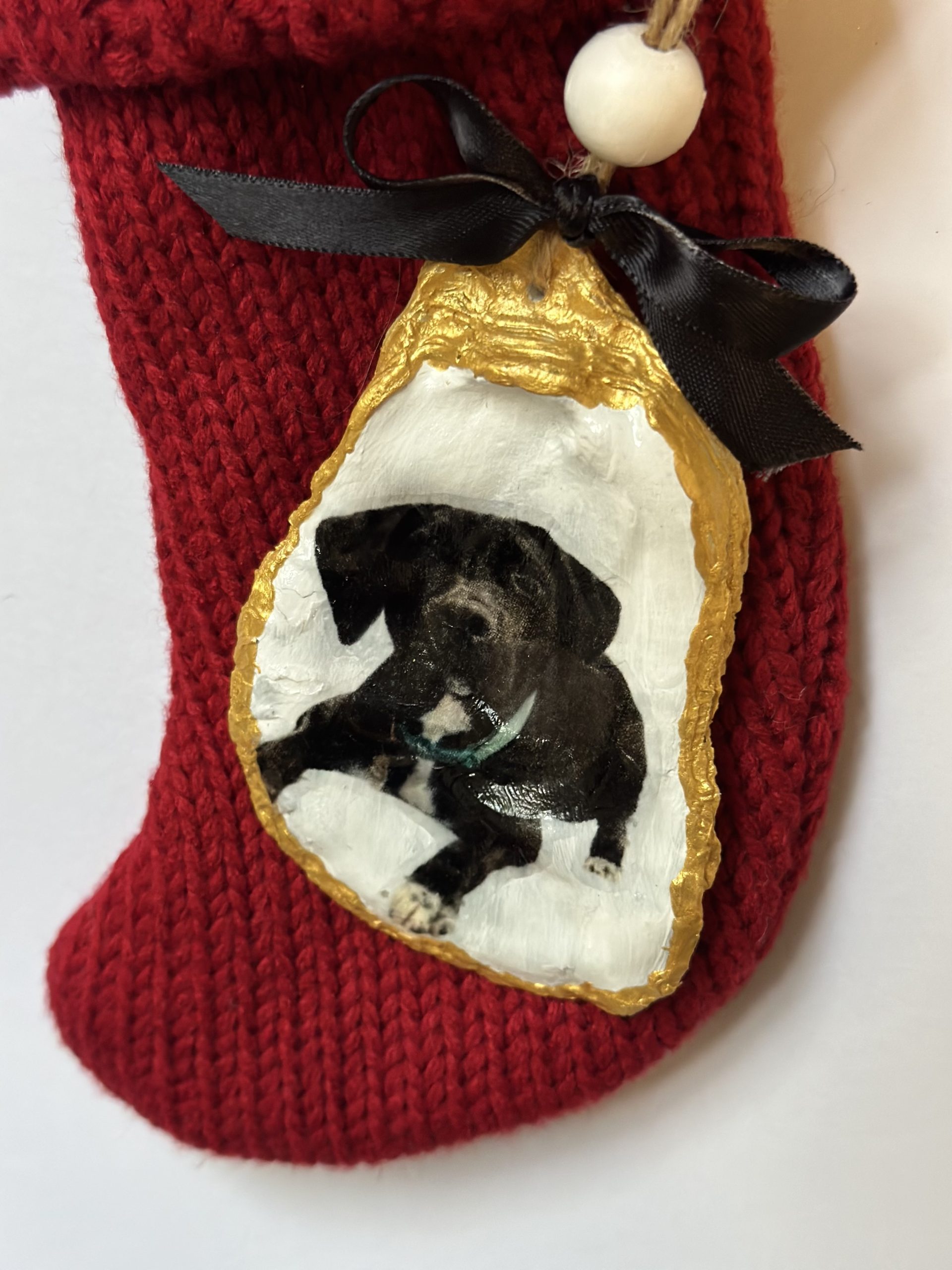 Close-up of a gold-edged oyster shell ornament with a black puppy photo and black bow, on a red knit Christmas stocking.