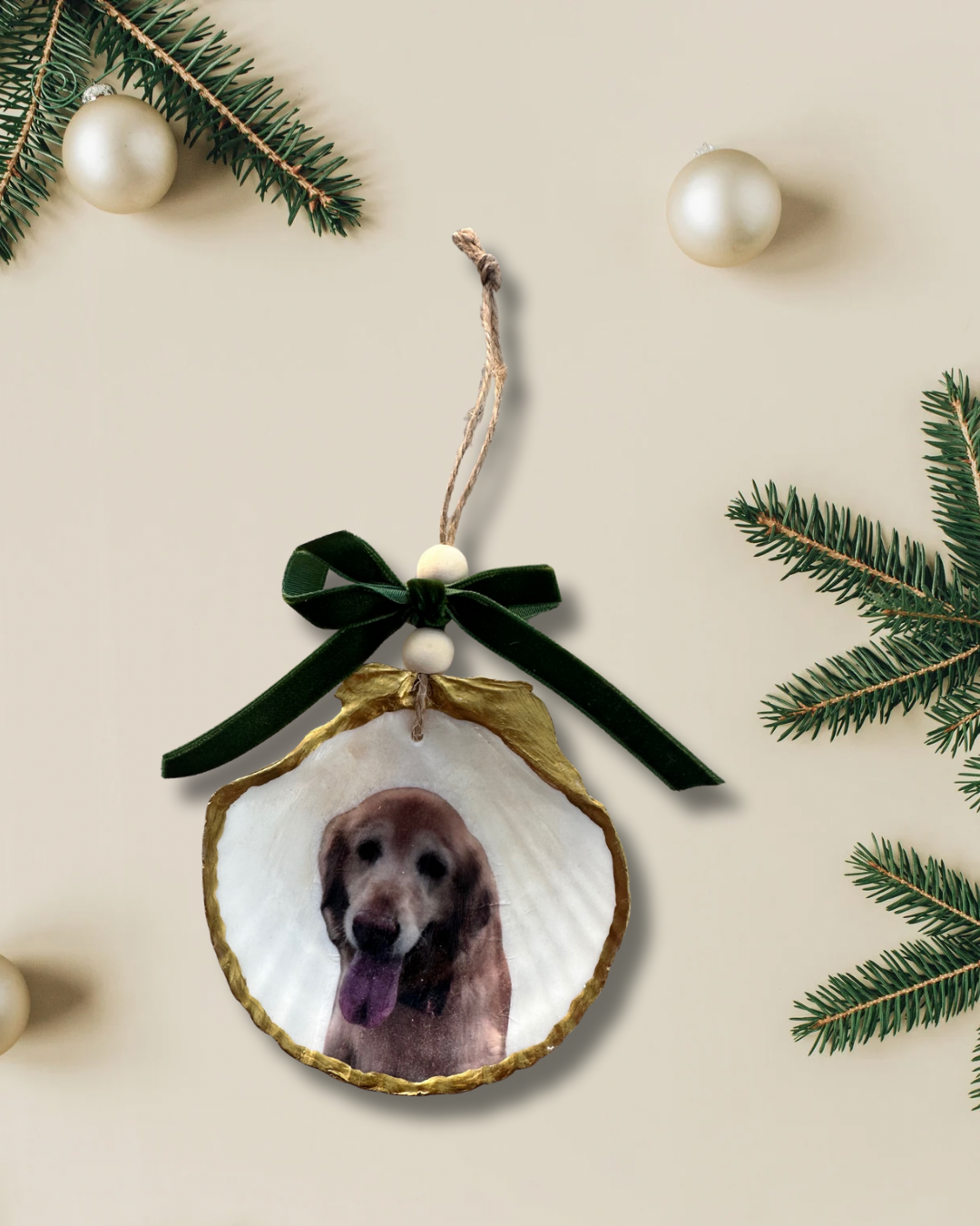 Custom scallop shell photo ornament of a smiling golden retriever with gold edges and green velvet bow among pine branches.